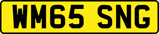 WM65SNG