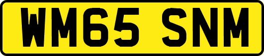 WM65SNM