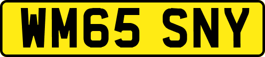 WM65SNY