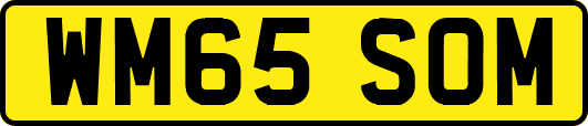 WM65SOM