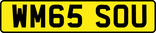 WM65SOU