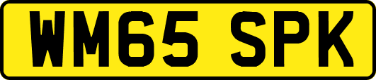 WM65SPK