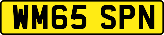 WM65SPN