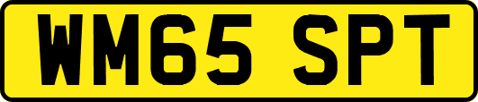 WM65SPT