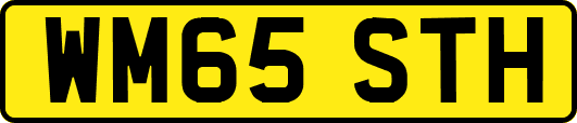 WM65STH