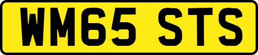 WM65STS
