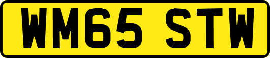 WM65STW