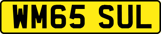 WM65SUL