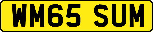 WM65SUM