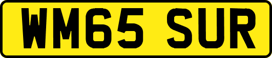 WM65SUR