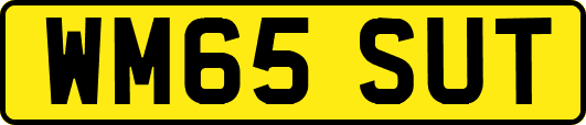 WM65SUT