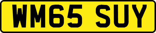 WM65SUY