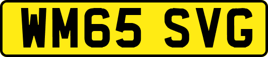 WM65SVG