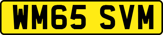 WM65SVM