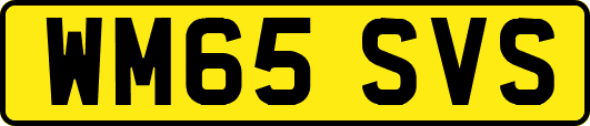 WM65SVS