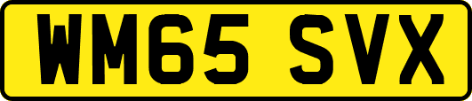 WM65SVX