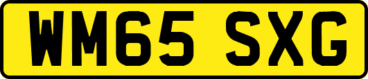WM65SXG