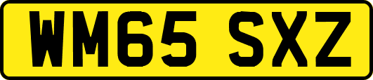WM65SXZ