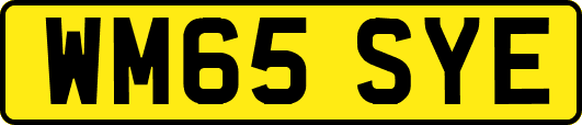 WM65SYE