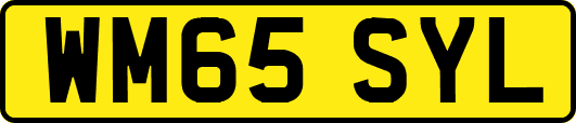 WM65SYL