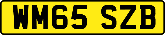 WM65SZB