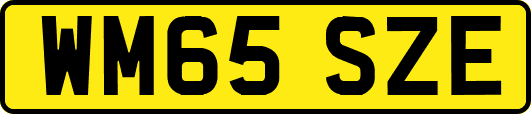 WM65SZE