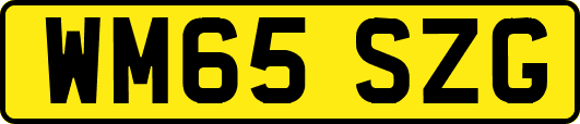 WM65SZG