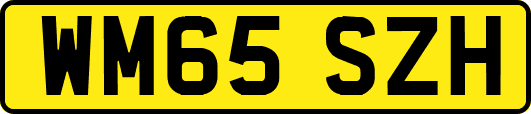 WM65SZH