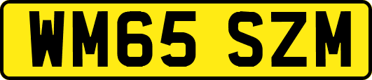 WM65SZM