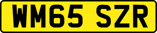 WM65SZR