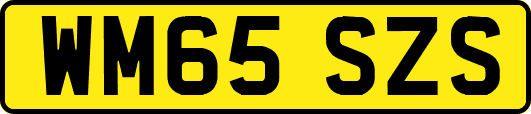 WM65SZS