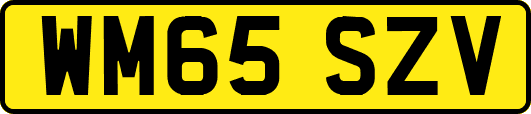 WM65SZV