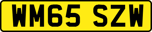 WM65SZW