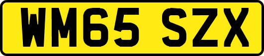 WM65SZX