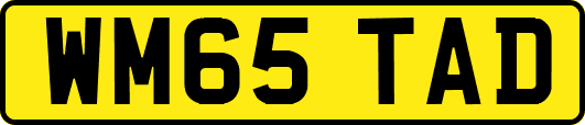 WM65TAD