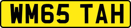 WM65TAH
