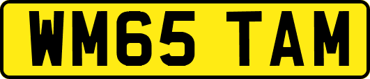 WM65TAM