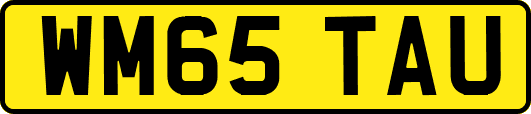 WM65TAU