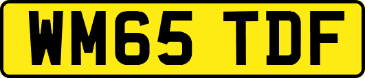 WM65TDF