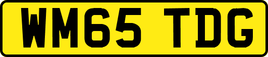 WM65TDG