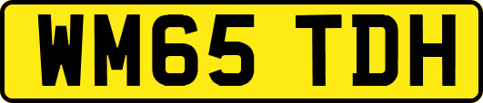 WM65TDH