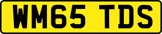 WM65TDS