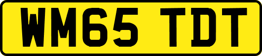 WM65TDT