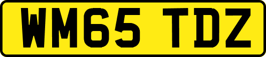 WM65TDZ