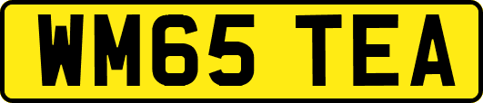 WM65TEA