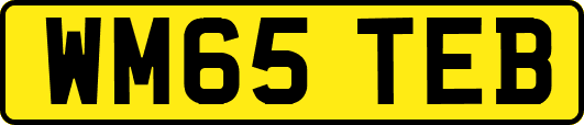 WM65TEB