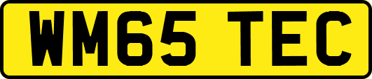 WM65TEC
