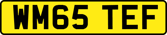 WM65TEF