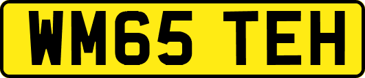 WM65TEH