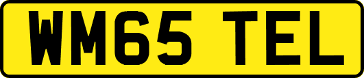 WM65TEL